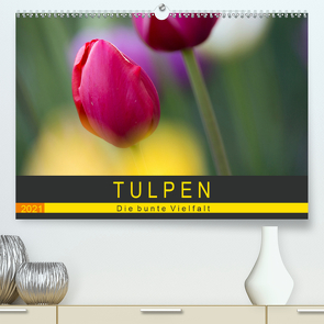 Tulpen – die bunte Vielfalt (Premium, hochwertiger DIN A2 Wandkalender 2021, Kunstdruck in Hochglanz) von Schürholz,  Peter