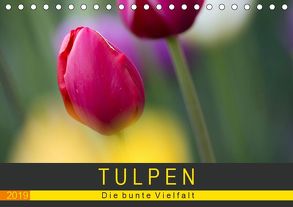 Tulpen – die bunte Vielfalt (Tischkalender 2019 DIN A5 quer) von Schürholz,  Peter