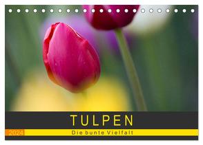 Tulpen – die bunte Vielfalt (Tischkalender 2024 DIN A5 quer), CALVENDO Monatskalender von Schürholz,  Peter