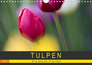 Tulpen – die bunte Vielfalt (Wandkalender 2021 DIN A4 quer) von Schürholz,  Peter