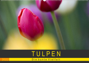 Tulpen – die bunte Vielfalt (Wandkalender 2022 DIN A2 quer) von Schürholz,  Peter