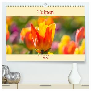 Tulpen – Feuerwerk der Farben (hochwertiger Premium Wandkalender 2024 DIN A2 quer), Kunstdruck in Hochglanz von Scheurer,  Monika