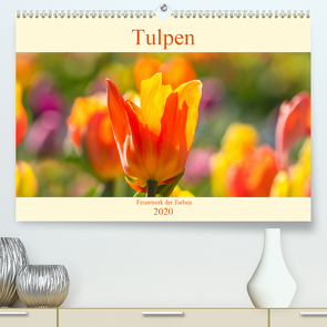 Tulpen – Feuerwerk der Farben (Premium, hochwertiger DIN A2 Wandkalender 2020, Kunstdruck in Hochglanz) von Scheurer,  Monika