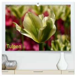 Tulpen (hochwertiger Premium Wandkalender 2024 DIN A2 quer), Kunstdruck in Hochglanz von Haas,  Willi