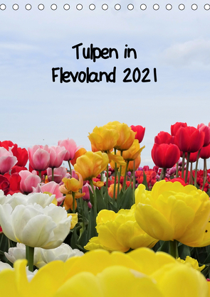 Tulpen in Flevoland (Tischkalender 2021 DIN A5 hoch) von Konkel,  Christine