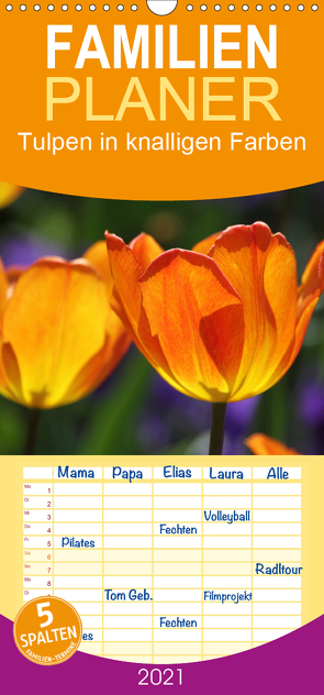 Tulpen in knalligen Farben – Familienplaner hoch (Wandkalender 2021 , 21 cm x 45 cm, hoch) von SchnelleWelten