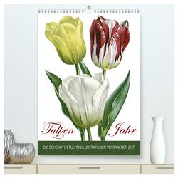Tulpen – Jahr (hochwertiger Premium Wandkalender 2024 DIN A2 hoch), Kunstdruck in Hochglanz von bilwissedition.com Layout: Babette Reek,  Bilder:
