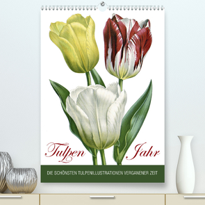 Tulpen – Jahr (Premium, hochwertiger DIN A2 Wandkalender 2022, Kunstdruck in Hochglanz) von bilwissedition.com Layout: Babette Reek,  Bilder: