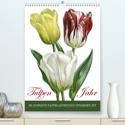 Tulpen – Jahr (Premium, hochwertiger DIN A2 Wandkalender 2023, Kunstdruck in Hochglanz) von bilwissedition.com Layout: Babette Reek,  Bilder: