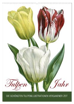 Tulpen – Jahr (Wandkalender 2024 DIN A2 hoch), CALVENDO Monatskalender von bilwissedition.com Layout: Babette Reek,  Bilder: