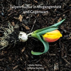 Tulpen-Kultur in Vergangenheit und Gegenwart von Bauer,  Sabine, Heklau,  Heike, Seyfang,  Volkmar