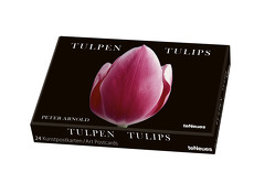 Tulpen, Kunstkartenbox von Arnold,  Peter
