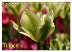 Tulpen (Tischkalender 2024 DIN A5 quer), CALVENDO Monatskalender von Haas,  Willi