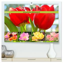 Tulpen. Zauberhafte Blütenpracht (hochwertiger Premium Wandkalender 2024 DIN A2 quer), Kunstdruck in Hochglanz von Hurley,  Rose