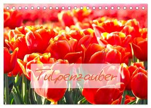 Tulpenzauber (Tischkalender 2024 DIN A5 quer), CALVENDO Monatskalender von Meyer©Stimmungsbilder1,  Marion