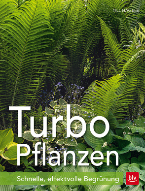 Turbo-Pflanzen von Hägele,  Till