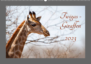 Twigas – Giraffen (Wandkalender 2023 DIN A2 quer) von und Holger Karius,  Kirsten