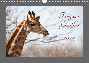 Twigas – Giraffen (Wandkalender 2023 DIN A4 quer) von und Holger Karius,  Kirsten