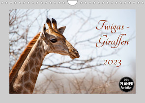 Twigas – Giraffen (Wandkalender 2023 DIN A4 quer) von und Holger Karius,  Kirsten