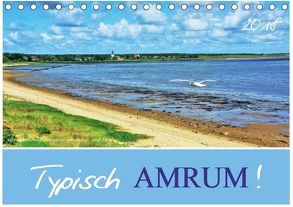 Typisch Amrum! (Tischkalender 2018 DIN A5 quer) von Heußlein,  Jutta