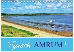 Typisch Amrum! (Tischkalender 2019 DIN A5 quer) von Heußlein,  Jutta