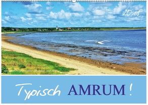 Typisch Amrum! (Wandkalender 2018 DIN A2 quer) von Heußlein,  Jutta