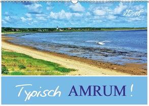 Typisch Amrum! (Wandkalender 2018 DIN A3 quer) von Heußlein,  Jutta