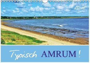 Typisch Amrum! (Wandkalender 2018 DIN A4 quer) von Heußlein,  Jutta