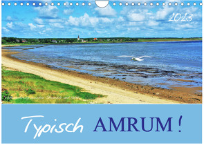 Typisch Amrum! (Wandkalender 2023 DIN A4 quer) von Heußlein,  Jutta