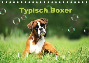 Typisch Boxer (Tischkalender 2019 DIN A5 quer) von Janetzek,  Yvonne