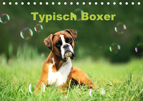 Typisch Boxer (Tischkalender 2020 DIN A5 quer) von Janetzek,  Yvonne