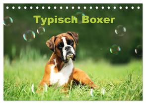 Typisch Boxer (Tischkalender 2024 DIN A5 quer), CALVENDO Monatskalender von Janetzek,  Yvonne