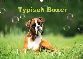 Typisch Boxer (Wandkalender 2018 DIN A3 quer) von Janetzek,  Yvonne