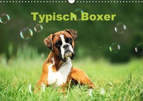 Typisch Boxer (Wandkalender 2019 DIN A3 quer) von Janetzek,  Yvonne