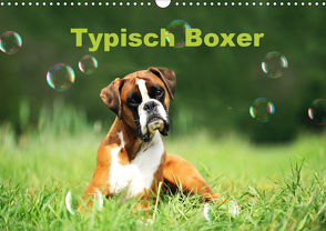 Typisch Boxer (Wandkalender 2021 DIN A3 quer) von Janetzek,  Yvonne