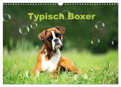Typisch Boxer (Wandkalender 2024 DIN A3 quer), CALVENDO Monatskalender von Janetzek,  Yvonne