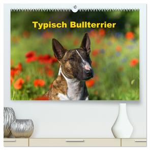 Typisch Bullterrier (hochwertiger Premium Wandkalender 2024 DIN A2 quer), Kunstdruck in Hochglanz von Janetzek,  Yvonne