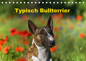 Typisch Bullterrier (Tischkalender 2022 DIN A5 quer) von Janetzek,  Yvonne