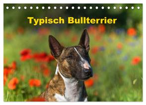 Typisch Bullterrier (Tischkalender 2024 DIN A5 quer), CALVENDO Monatskalender von Janetzek,  Yvonne
