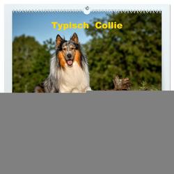 Typisch Collie (hochwertiger Premium Wandkalender 2024 DIN A2 quer), Kunstdruck in Hochglanz von Janetzek,  Yvonne