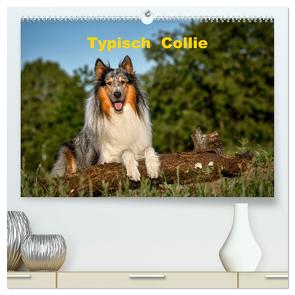 Typisch Collie (hochwertiger Premium Wandkalender 2024 DIN A2 quer), Kunstdruck in Hochglanz von Janetzek,  Yvonne