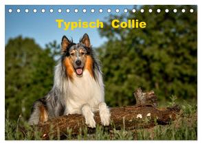 Typisch Collie (Tischkalender 2024 DIN A5 quer), CALVENDO Monatskalender von Janetzek,  Yvonne