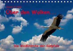 Über den Wolken – Die Weißstörche der Südpfalz (Tischkalender immerwährend DIN A5 quer) von Di Chito,  Ursula
