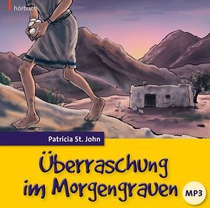 Überraschung im Morgengrauen (Hörbuch) von Aebi,  Elisabeth I, Bedke,  Ingeburg, Carstens,  Benjamin, Caspari,  Christian, Duinmeyer-Bolik,  Ulrike, St. John,  Patricia