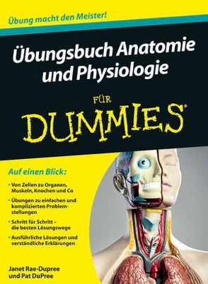 Übungsbuch Anatomie und Physiologie für Dummies von Dahl,  Katharina, Dahl,  Maria Regina, DuPree,  Pat, Rae-Dupree,  Janet