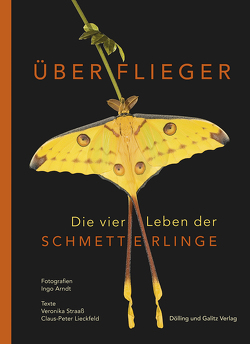Überflieger. Die vier Leben der Schmetterlinge von Arndt,  Ingo, Lieckfeld,  Claus-Peter, Straaß,  Veronika