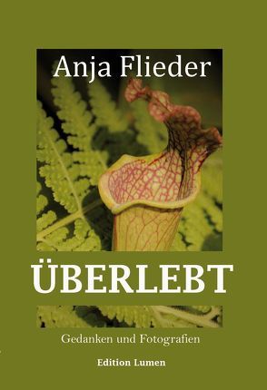 Überlebt von Flieder,  Anja