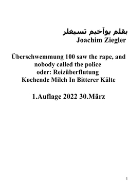 Überschwemmung 100 saw the rape, and nobody called the police oder: Reizüberflutung 1.Auflage 2022 30.März von Ziegler,  Joachim