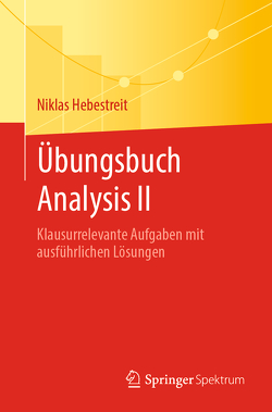Übungsbuch Analysis II von Hebestreit,  Niklas