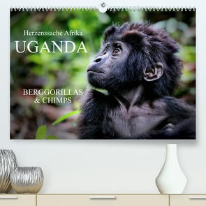 UGANDA – Berggorillas & Chimps (Premium, hochwertiger DIN A2 Wandkalender 2022, Kunstdruck in Hochglanz) von Woyke,  Wibke